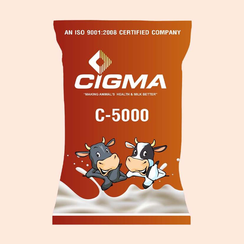 CIGMA 5000